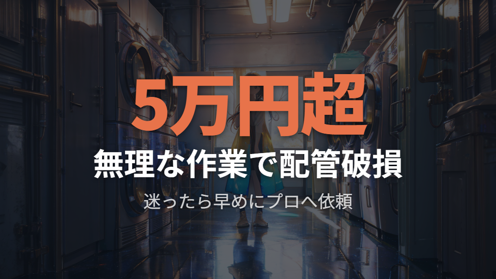 排水口が外せないドラム式・賃貸住宅でのリスク管理と業者依頼の目安
