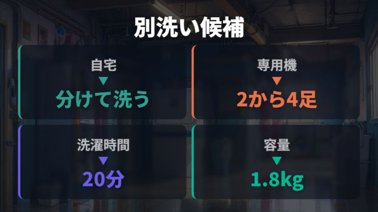上履きや複数足は靴専用洗濯機も選択肢にする